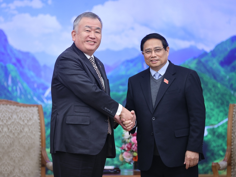都是对球员
